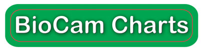 Biocam Logo